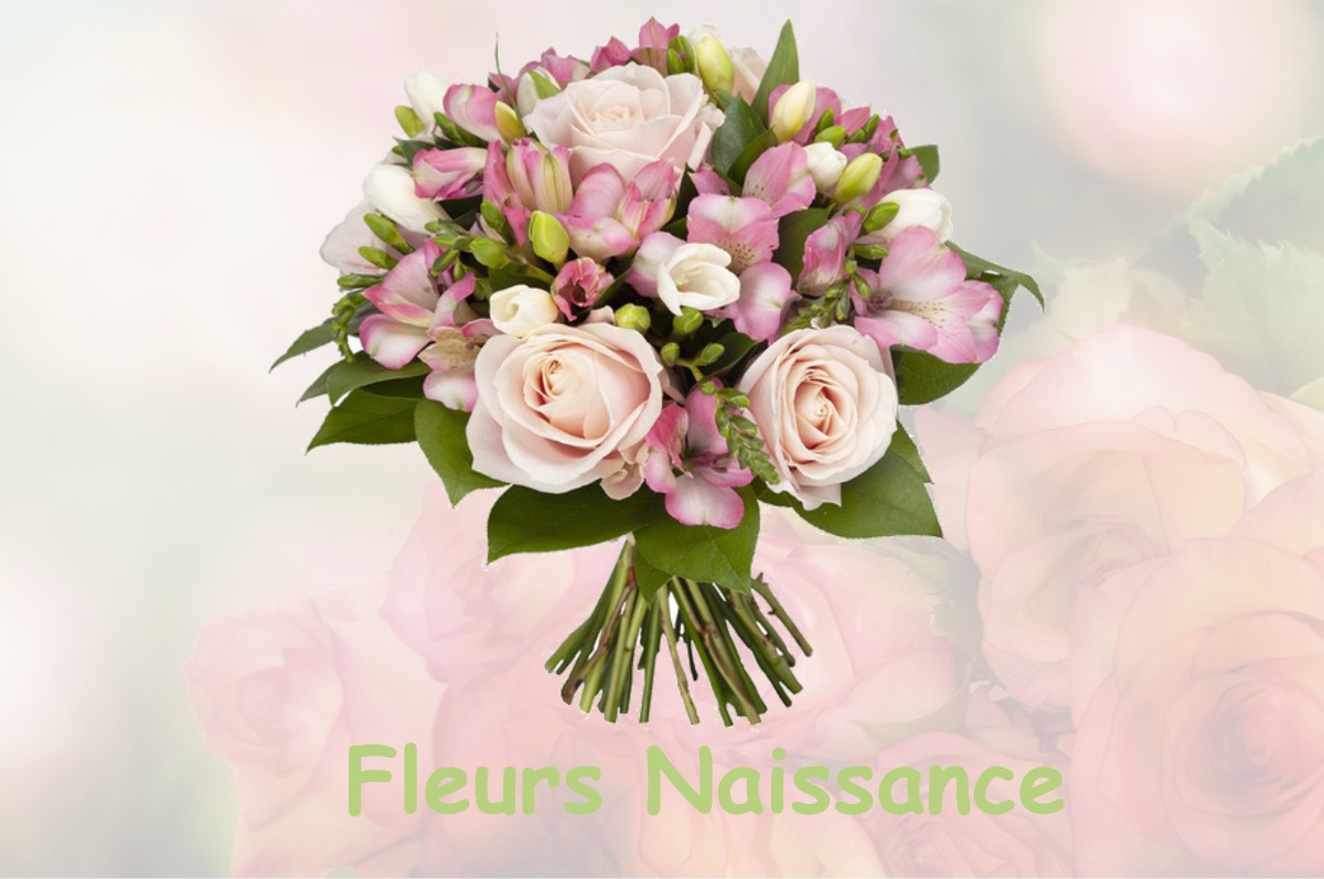 fleurs naissance SAINT-VAAST-LA-HOUGUE